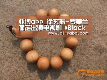亚博app_徐玄振-罗美兰确定出演电视剧《Black Dog》 12月与观众们见面(图2) 亚博体育官网