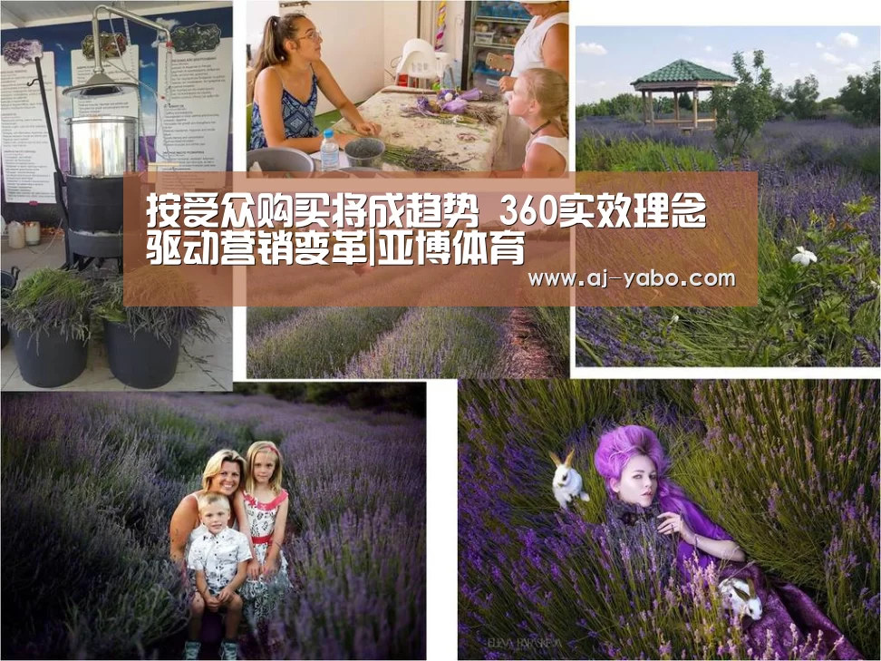 按受众购买将成趋势 360实效理念驱动营销变革|亚博体育(图1) 亚博体育